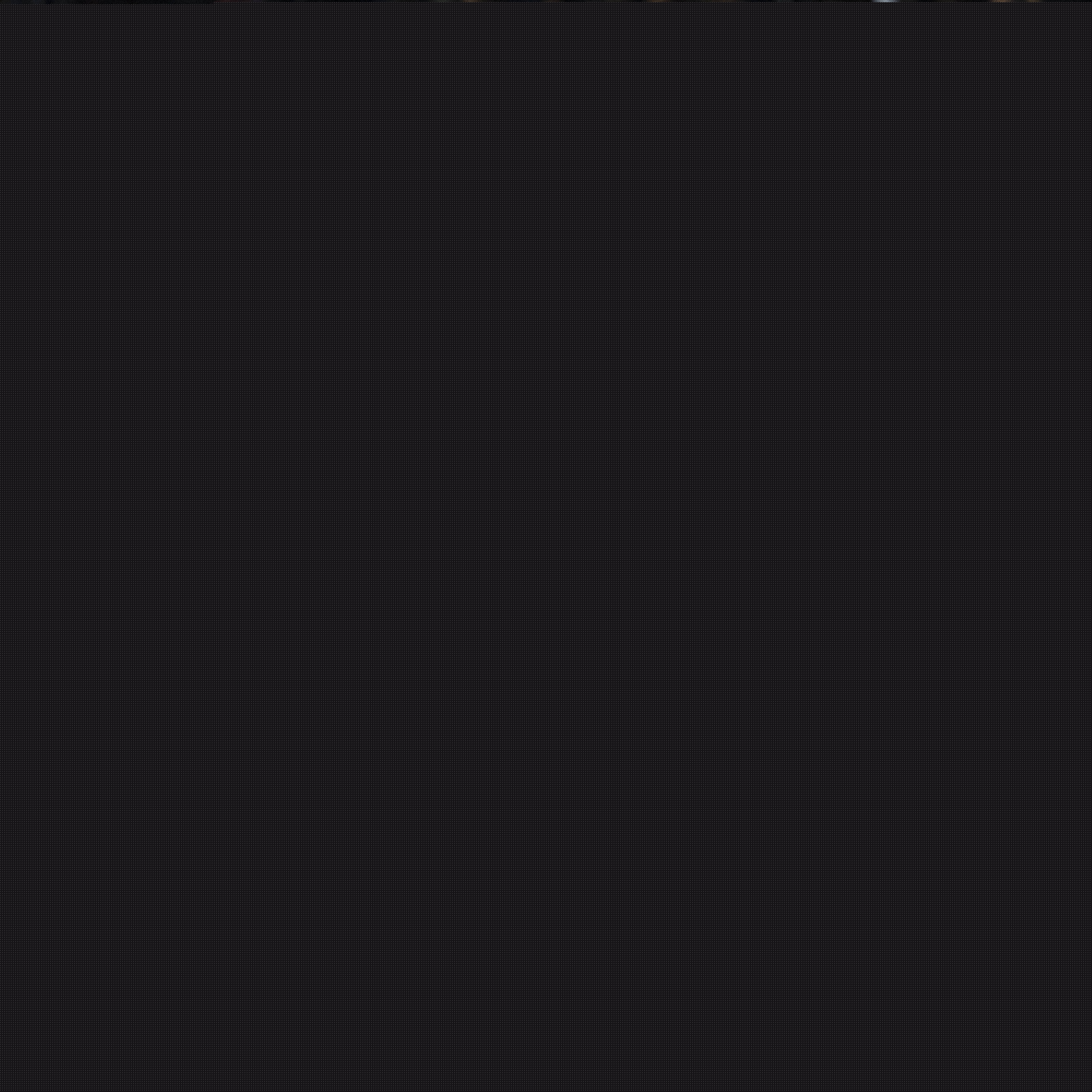 的背后是加